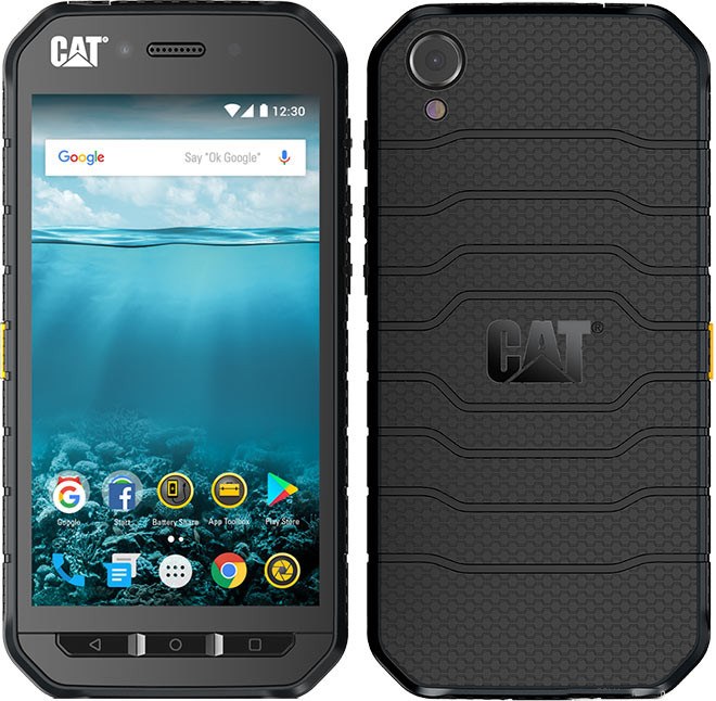 cat-s41