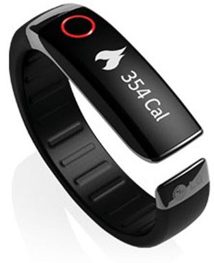 lg-lifeband