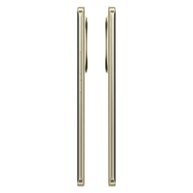 Realme13progold4